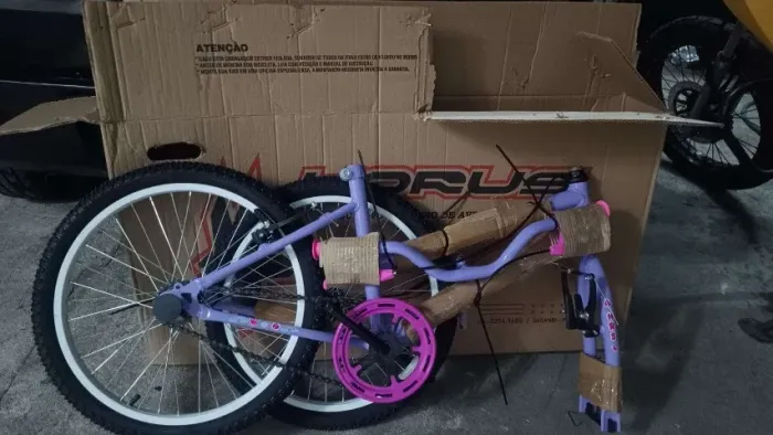 Bicicleta Aro 20 Roda Lateral Cadeirinha Boneca Violeta/pink(Nova)