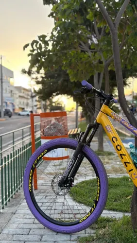 Bicicleta Colli Grau Aro 26