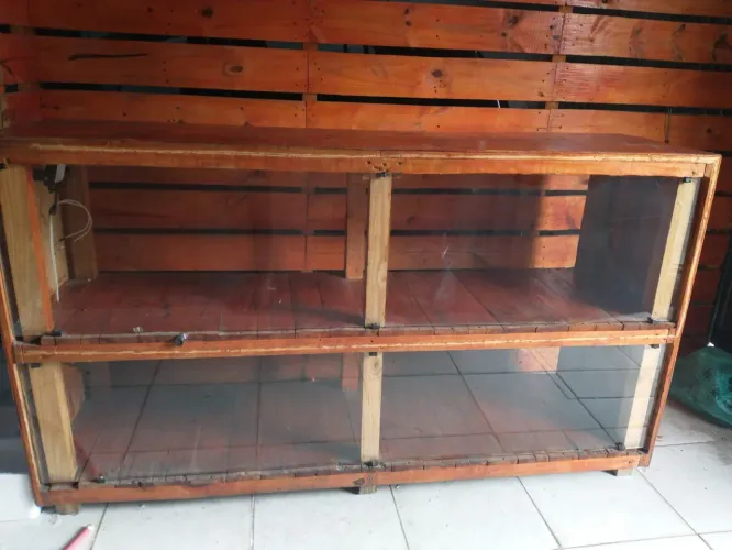 Bacon e deck de madeira para adega 