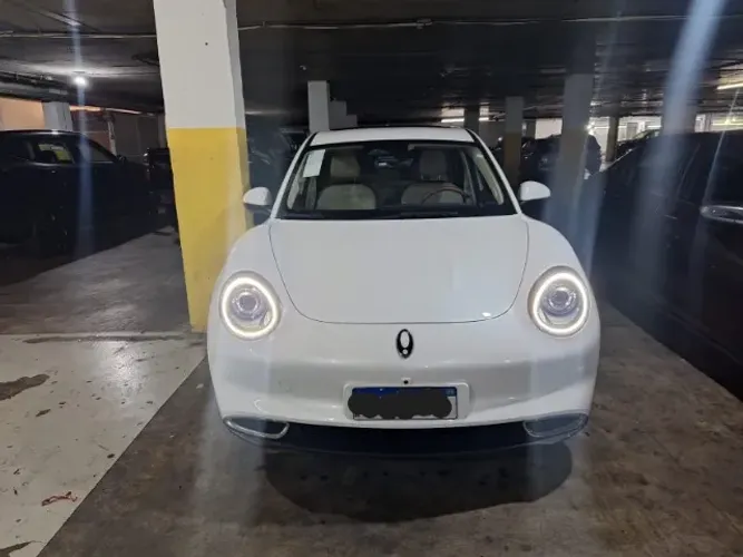 GWM Ora 03 Skin (elétrico) 2025