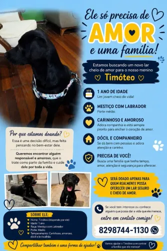 Doação