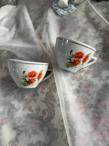 Par de xicaras de chá em porcelana muito provável Pozzani sem pires