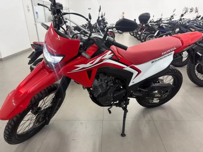 HONDA XR300L TORNADO 2025