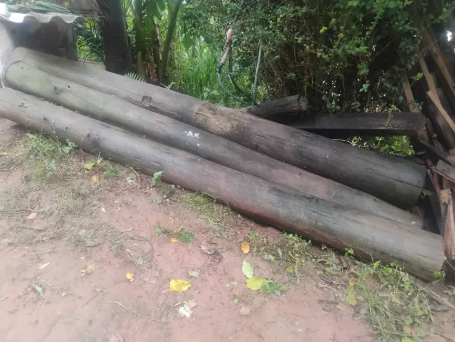 Postes tratados padrão rge