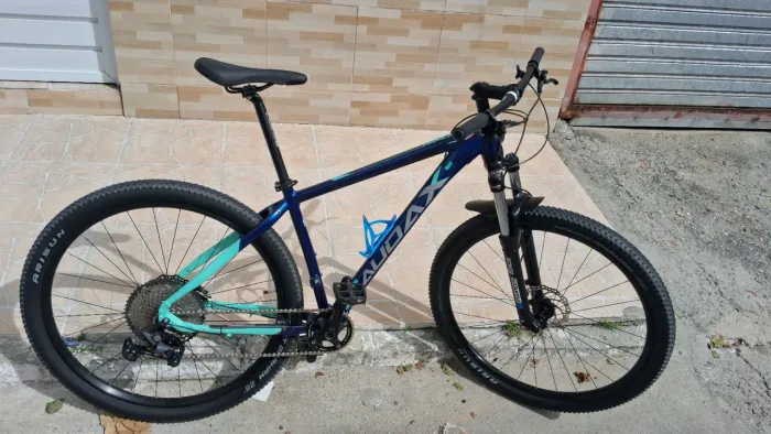 Bicicleta aro 29