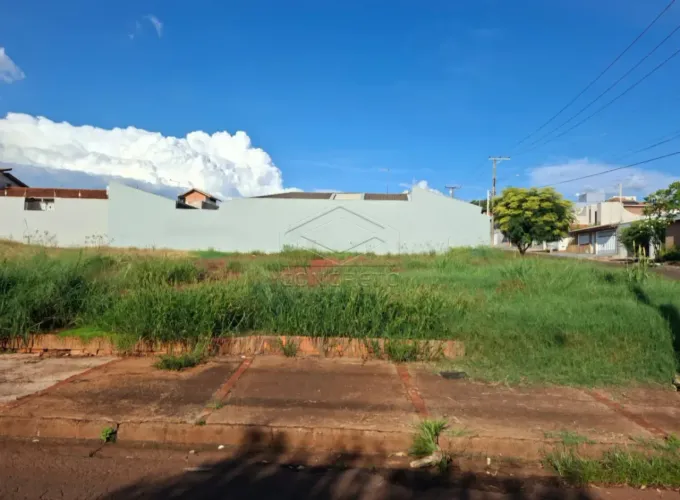 Terreno Padrão em Jaú