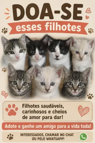 Filhotes de gato