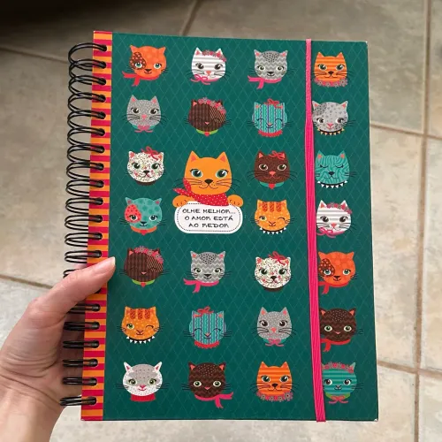 Caderno gatinhos 10 matérias Fina Ideia seminovo