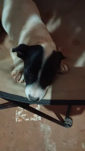 Doação