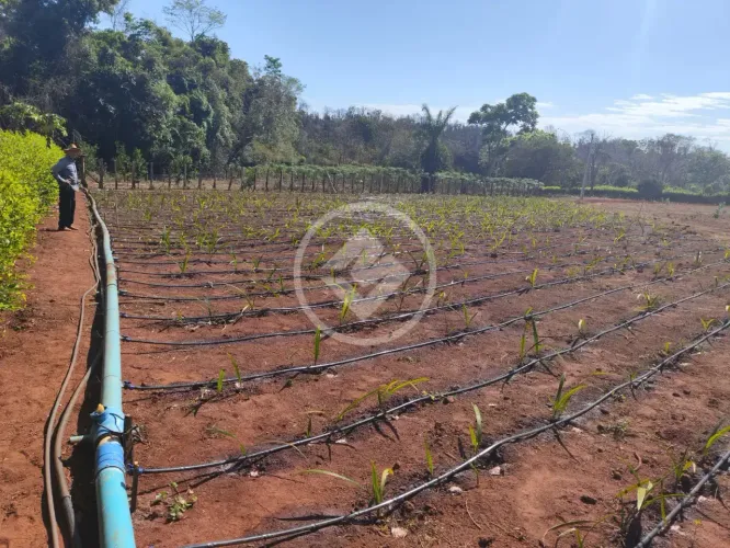 Chácara 33.604m² com represa exclusiva, energia e escritura  Nerópolis (GO) codigo: 352515