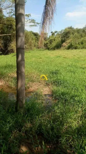 Terreno com 3 alqueires com acesso à rodovia Oportunidade para agro ou investimento