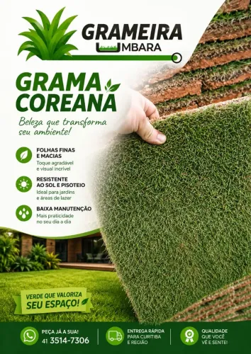 Grama Coreana