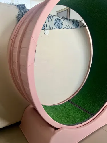 Roda para gatos em estado de nova