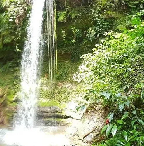 Terreno no Vale do Jamacá (Chapada dos Guimarães) - Mata Virgem com Cachoeira. 38.500 m²