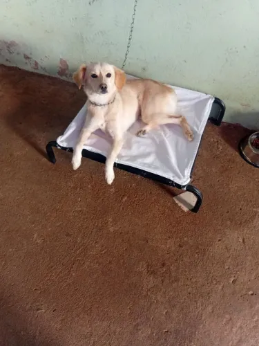 Doação 