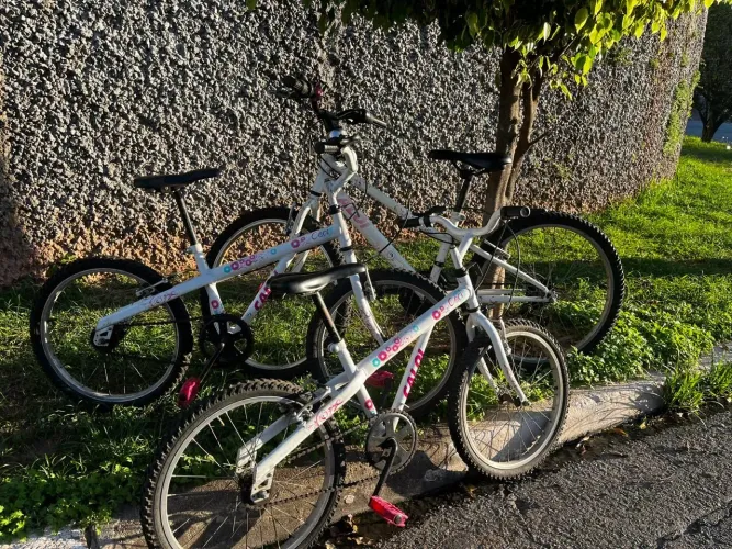 3 Bicicletas