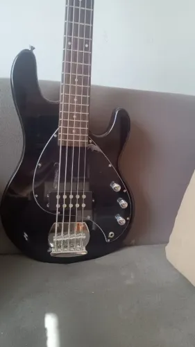 Vendo baixo Waldman 5 cordas