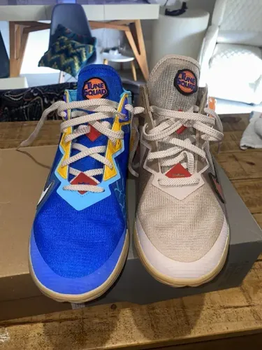 Lebron 18 Low Wile E. Vs. Roadrunner 43