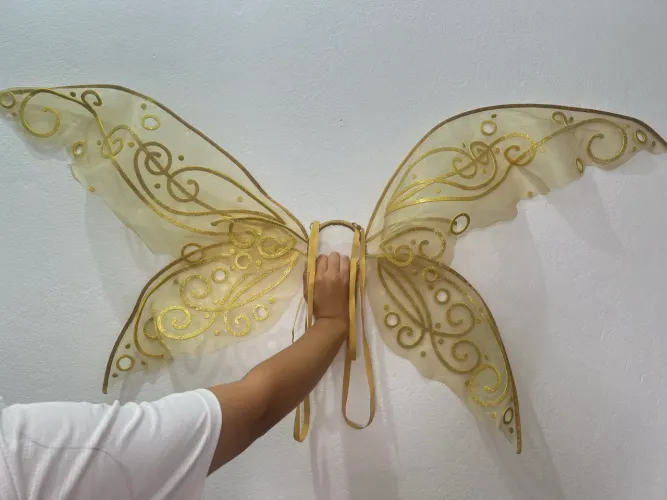 Asa de Fada - Fantasias ou Carnaval