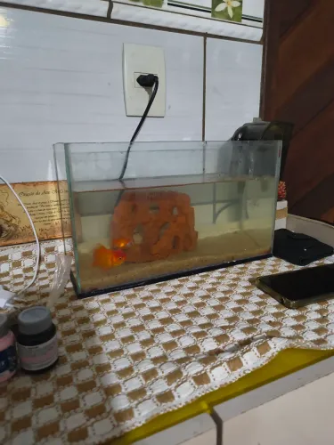 Aquário 9 litros somente aquário