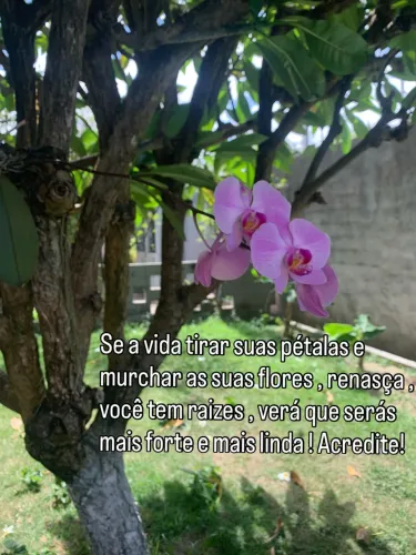 Jazigo parque das flores