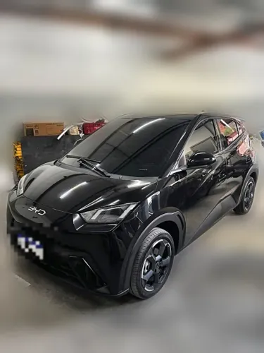 BYD Dolphin Mini (Elétrico) 2025