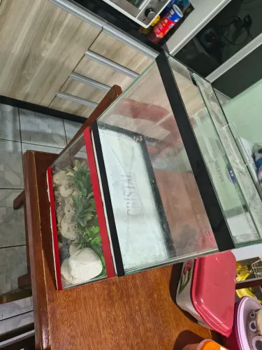 Dois aquários de 8 litros com cascalho, pedras e plantas artificiais