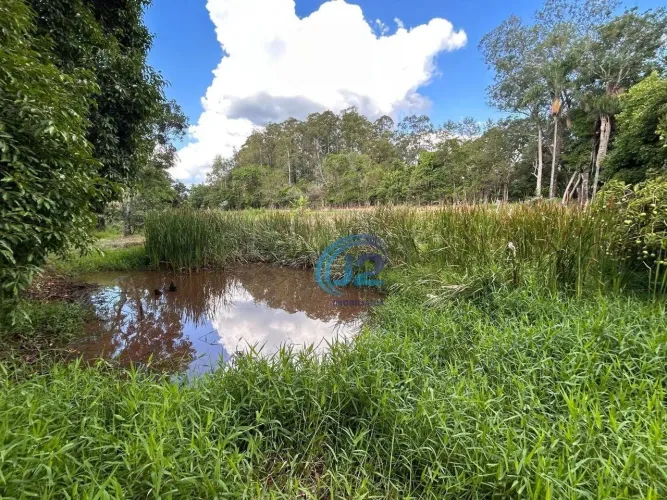 Sítio 20000 m², casa e piscina, por R$ 1.200.000 - Zona Rural - Espírito Santo do Pinhal/S