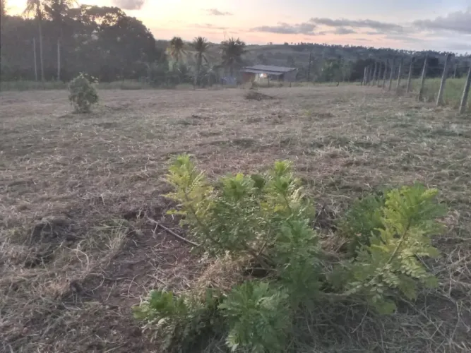 Lotes em itaporanga pov. Sapé 