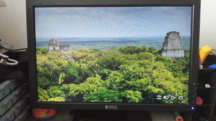 Monitor Dell 17 polegadas 