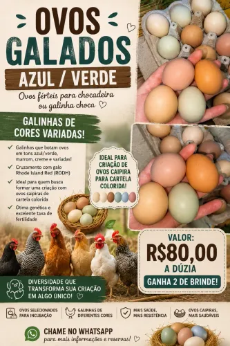 OVOS FÉRTEIS COLORIDOS 