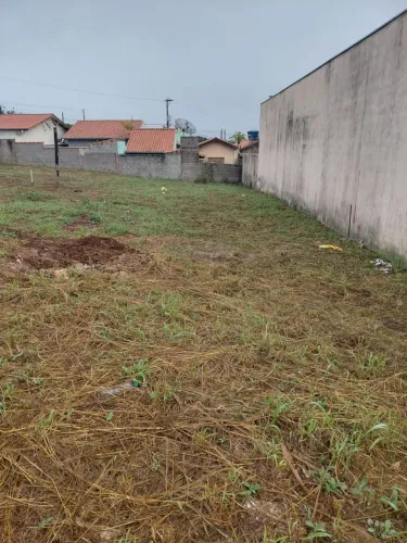 Terreno Bairro do Arraial, Tuiuti