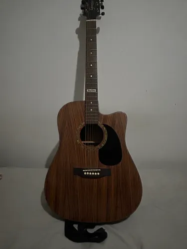Vendo ou troco Violão Giannini Performance GF-1D CEQ ZW