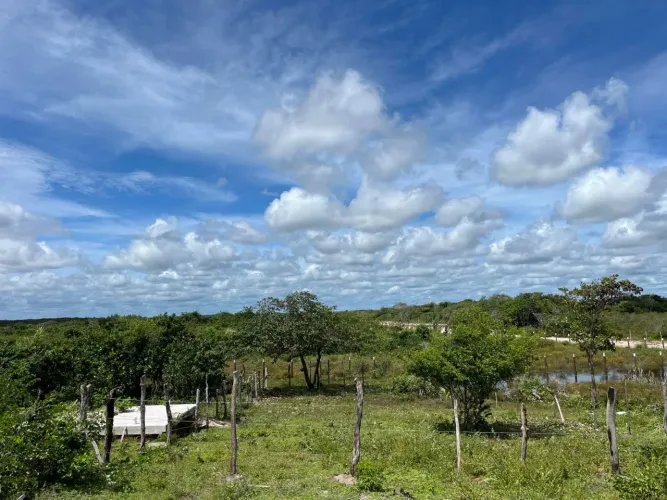 Terreno em santo amaro