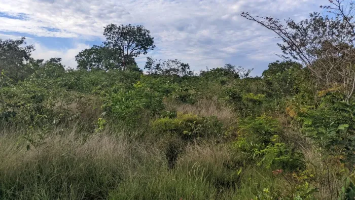 Chapada do sol 