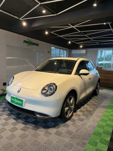 GWM Ora 03 Skin (elétrico) 2026