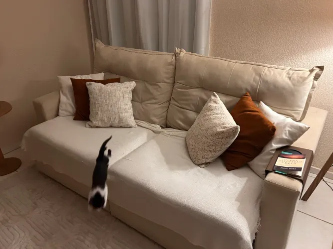 Sofá Cama