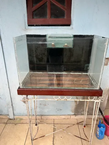 Aquario grande