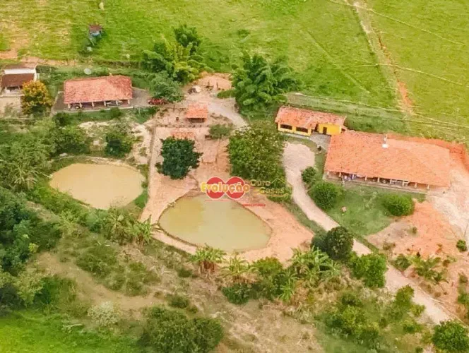Sitio Rural / Monte Alegre Do Sul