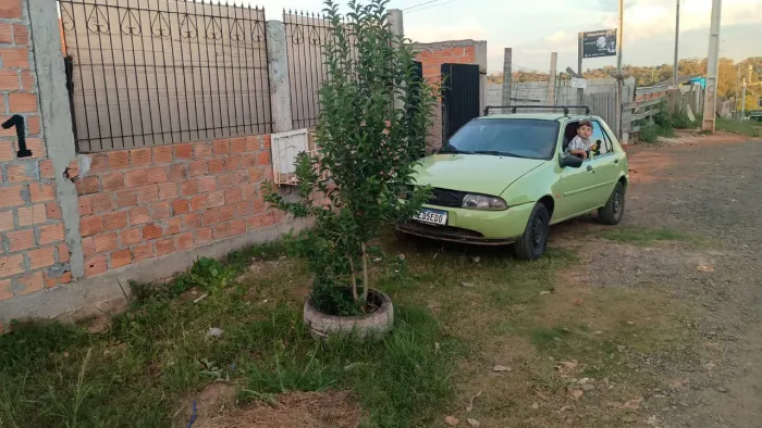 Vendo 