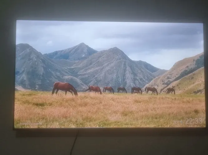 Televisão
