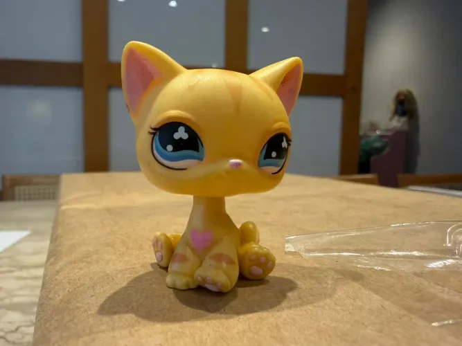 lps gato de pelo curto laranja (electronic diary shorthair )