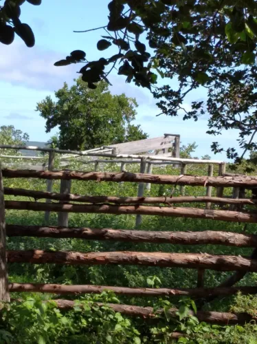 São José/Buritizeiro MG -  Fazenda 865 hc proprícia para criação de gado e eucalipto