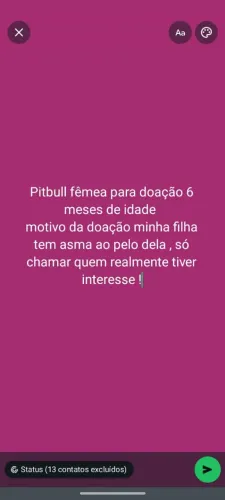 Cachorro para doação