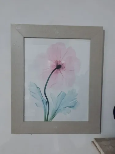 Quadros decorativos com flores para harmonizar o seu ambiente 