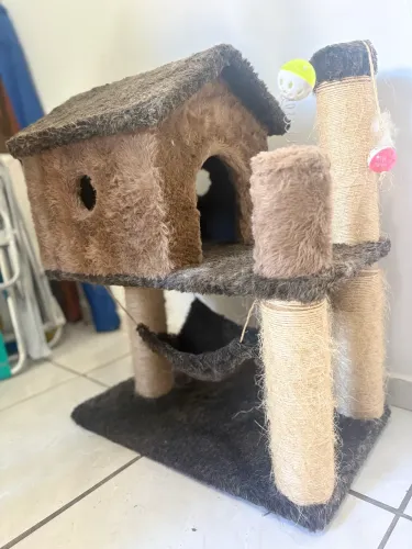 Arranhador Gatos