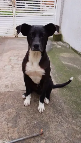 Doação responsável 