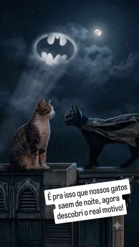 Gatinha Linda Castrada e Vermifugada 