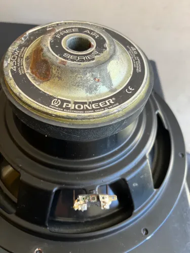 Subwoofer Pioneer 450w (par)