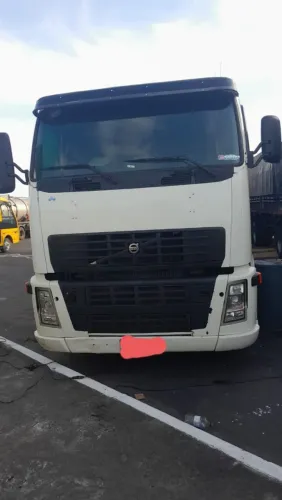Cavalinho em bom estado